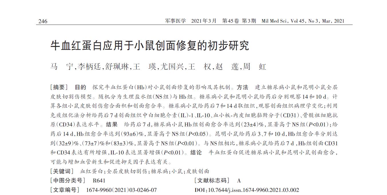 牛血红蛋白应用于小鼠创面修复的初步研究