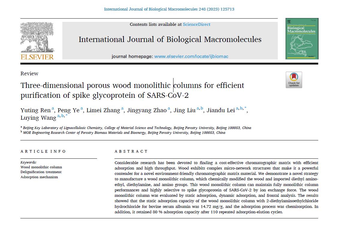 木材整体柱的制备、评价与SARS-CoV-2刺突糖蛋白的纯化